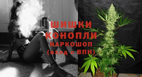амф Новодвинск