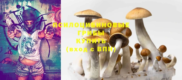 mdpv Новозыбков