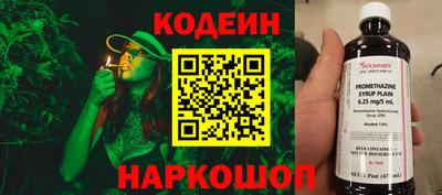 спиды Дубна