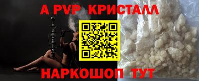 спиды Дубна