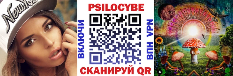 Галлюциногенные грибы Psilocybe  блэк спрут ССЫЛКА  Котовск 
