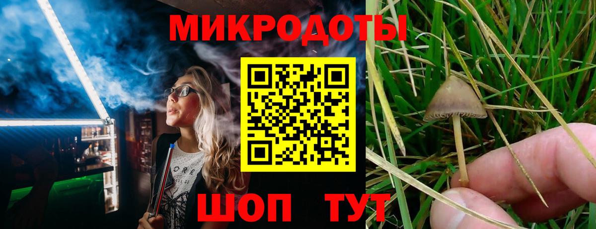 наркошоп  Галлюциногенные грибы Psilocybe  Вход с VPN  Котовск 