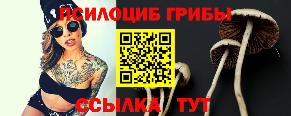 Псилоцибиновые грибы мухоморы Котовск