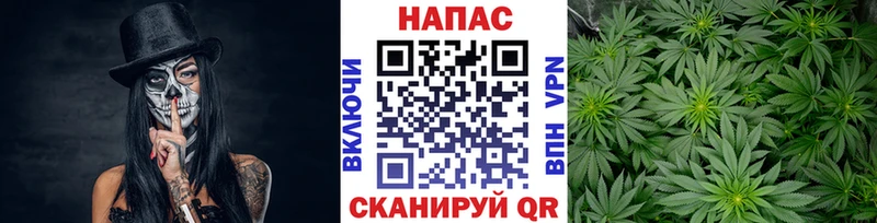 ОМГ ОМГ маркетплейс  Котовск  Канабис сатива 