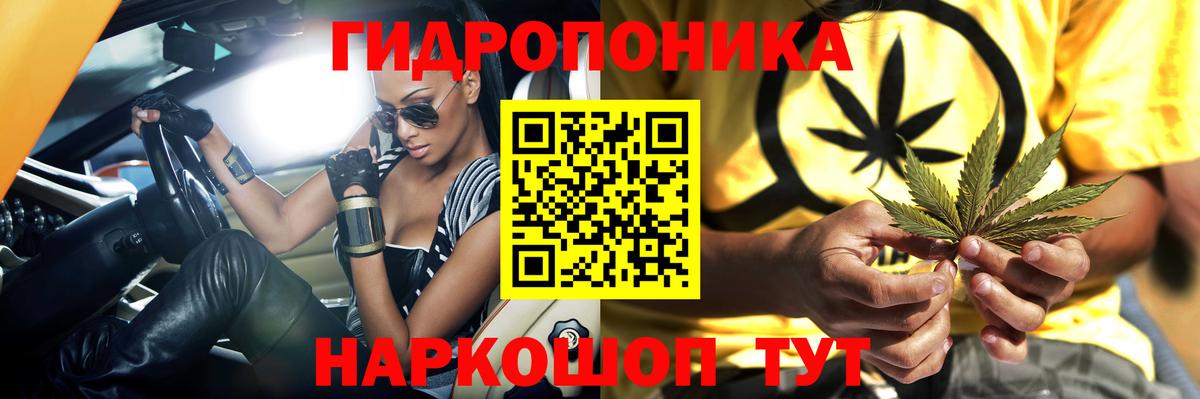 Канабис Bruce Banner Котовск